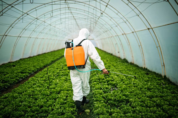 Pest Prevention Services in Riverside, AL