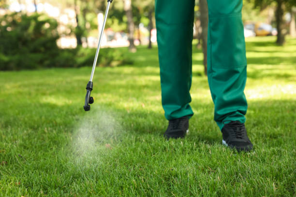 Wasp Removal Services in Riverside, AL