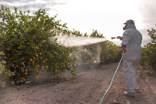 Best Pest Removal Services  in Riverside, AL