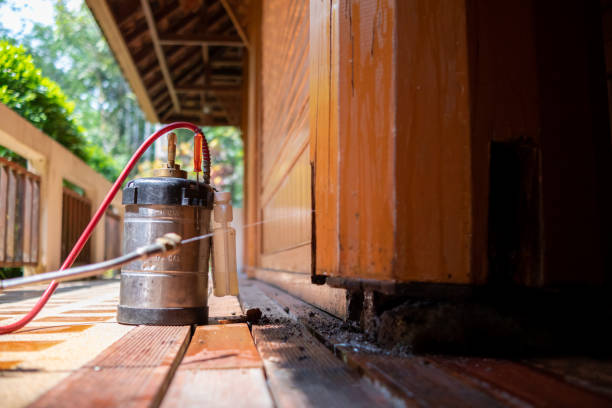 Best Wasp Removal Services  in Riverside, AL