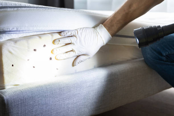 Best Pest Inspection Near Me  in Riverside, AL