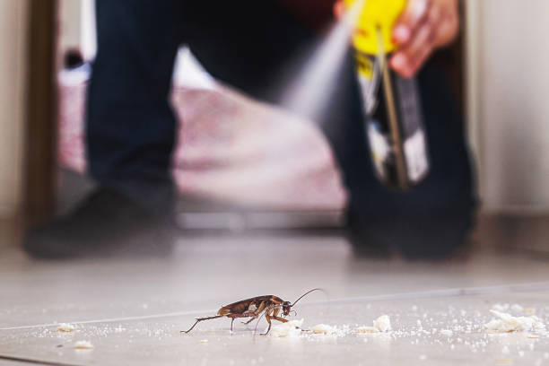 Best Pest Prevention Services  in Riverside, AL