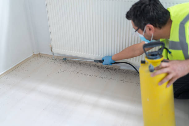 Best Pest Control Treatment  in Riverside, AL