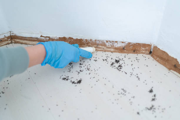 Best Flea Control Services  in Riverside, AL