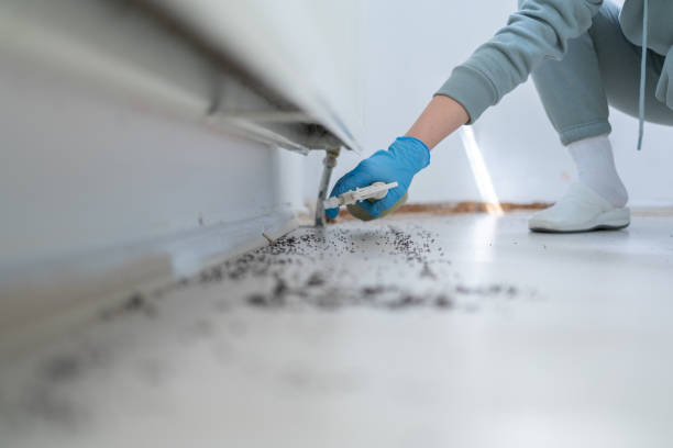 Best Cockroach Control Services  in Riverside, AL